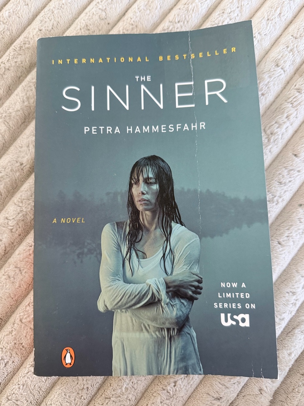 The Sinner by Petra Hammesfahr Paperback Psychological Thriller Novel